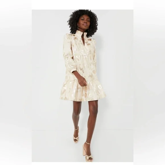 NWT Tuckernuck Palmerston Champagne Fil Coupé Mini Dress XXS Wedding Guest - Picture 2 of 13